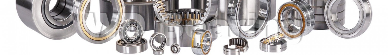 Spherical Roller Bearings